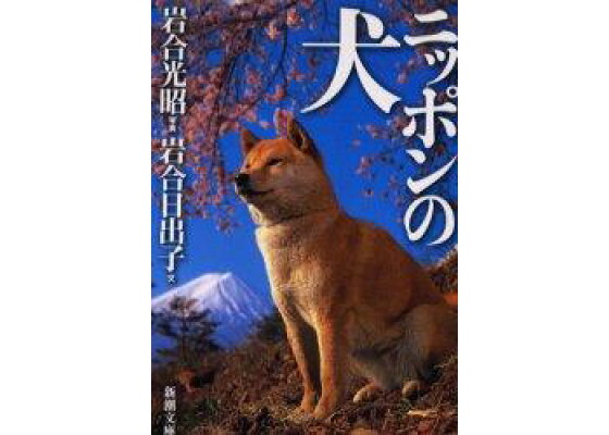 楽天ブックス ニッポンの犬 岩合光昭 本 楽天ブックス ニッポンの犬 岩合光昭 本